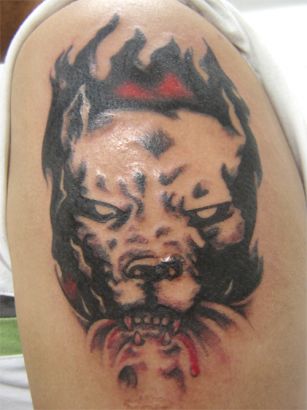 Pit Bull Dog Tattoo || Tattoo from Itattooz
