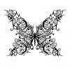 Filigree butterfly tattoo