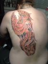 phoenix tats on girl's back 