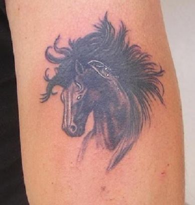 Animal tattoos, Horse tattoos, Tattoos of Animal, Tattoos of Horse, Animal tats, Horse tats, Animal free tattoo designs, Horse free tattoo designs, Animal tattoos picture, Horse tattoos picture, Animal pictures tattoos, Horse pictures tattoos, Animal free tattoos, Horse free tattoos, Animal tattoo, Horse tattoo, Animal tattoos idea, Horse tattoos idea, Animal tattoo ideas, Horse tattoo ideas, horse head picture tattoo