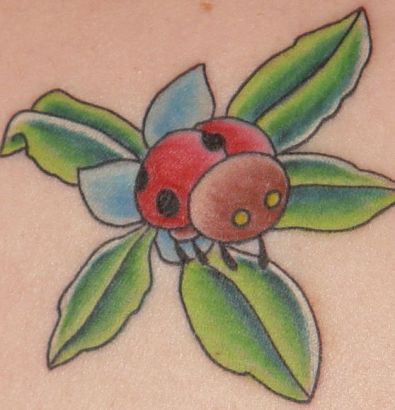 🐞🐞🐞 ladybugs always make the best gap fillers 🐞🐞🐞 Made at my home  @thegrandillusiontattoo ✨ 🐞✨🐞✨🐞✨�... | Instagram