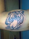tiger tattoo on biceps