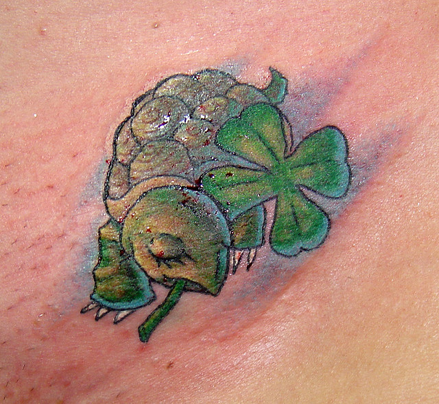 Hawaiian Turtle (Honu) with Irish shamrock tattoo by thehoundofulster on  DeviantArt