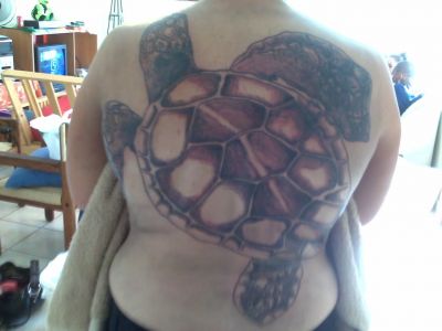 Animal tattoos, Turtle tattoos, Tattoos of Animal, Tattoos of Turtle, Animal tats, Turtle tats, Animal free tattoo designs, Turtle free tattoo designs, Animal tattoos picture, Turtle tattoos picture, Animal pictures tattoos, Turtle pictures tattoos, Animal free tattoos, Turtle free tattoos, Animal tattoo, Turtle tattoo, Animal tattoos idea, Turtle tattoos idea, Animal tattoo ideas, Turtle tattoo ideas, turtle tattoo on woman's back