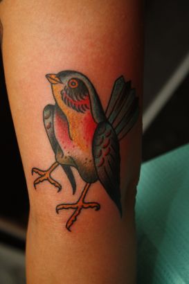 Birds tattoos, Bird tattoos, Tattoos of Birds, Tattoos of Bird, Birds tats, Bird tats, Birds free tattoo designs, Bird free tattoo designs, Birds tattoos picture, Bird tattoos picture, Birds pictures tattoos, Bird pictures tattoos, Birds free tattoos, Bird free tattoos, Birds tattoo, Bird tattoo, Birds tattoos idea, Bird tattoos idea, Birds tattoo ideas, Bird tattoo ideas, Bird tattoos design pic