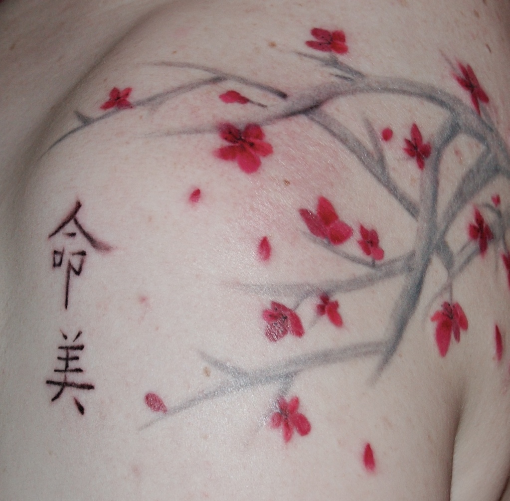 Chinese Pine. Japanese Image & Photo (Free Trial) | Bigstock